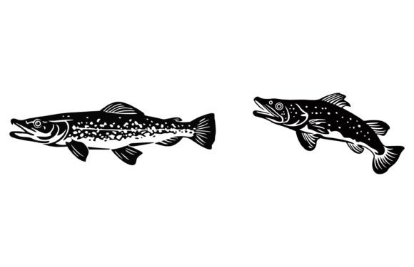 Download River Pike Fish Illustration - Fish Collection