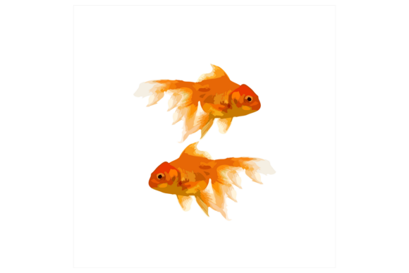 Download Koi Golden Fish Illustration - Fish Collection